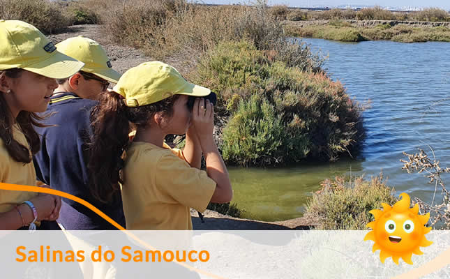 visita salinas samouco