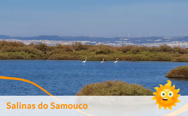 visita salinas samouco