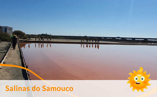 visita salinas samouco