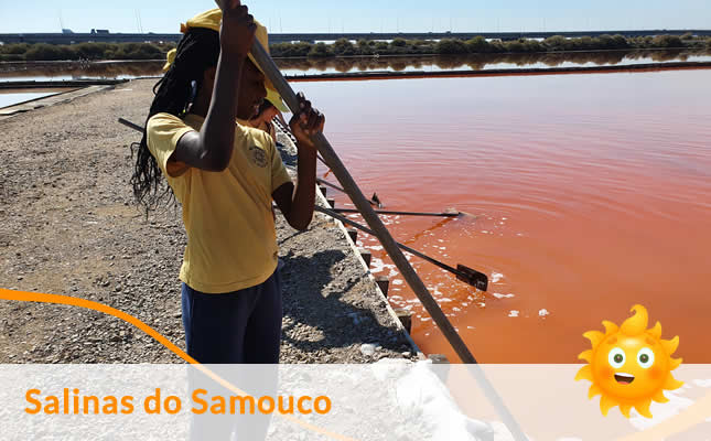 visita salinas samouco