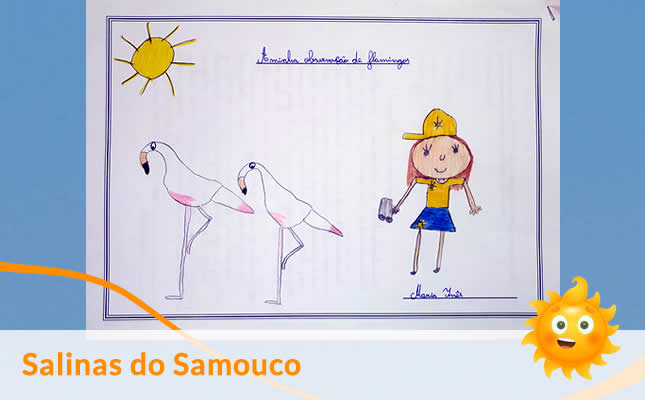 visita salinas samouco