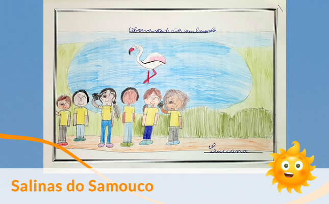 visita salinas samouco