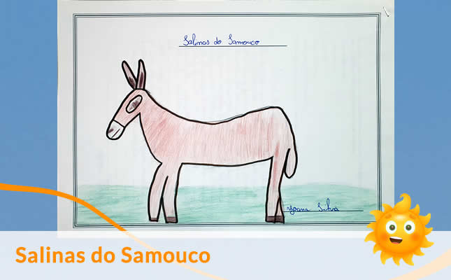 visita salinas samouco